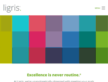 Tablet Screenshot of ligris.com